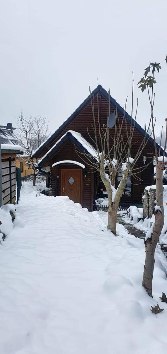 Ferienhaus-Wurzbach Exteriér fotografie