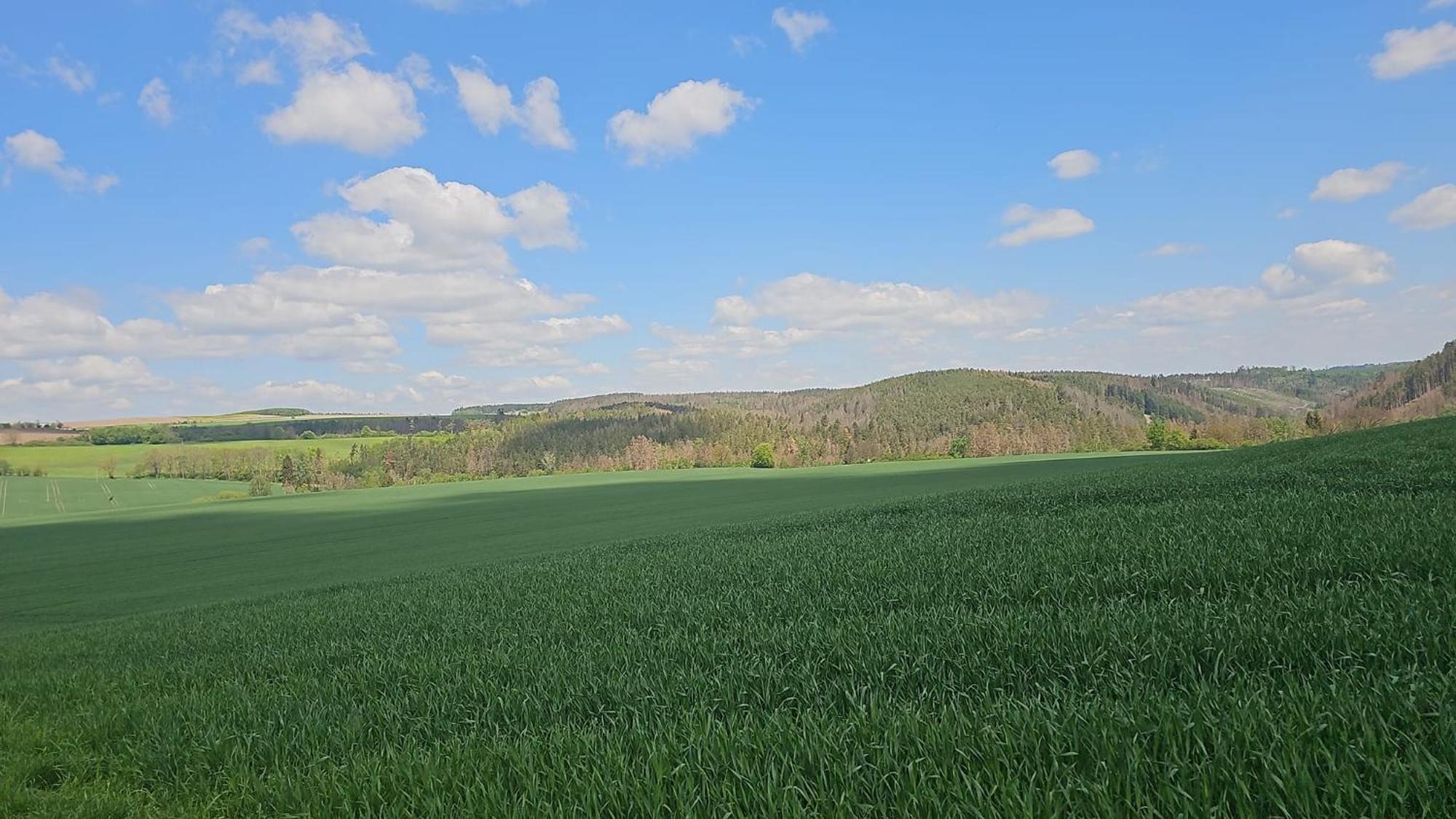 Ferienhaus-Wurzbach Exteriér fotografie